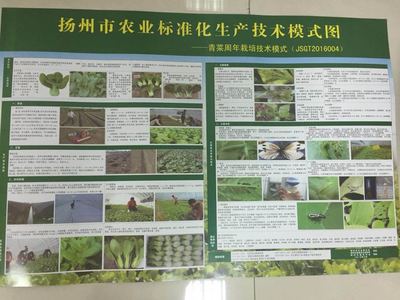 【图文直播】扬州市绿色优质农产品生产监管在行动